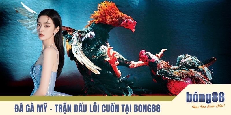 Đá gà Mỹ
